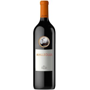 Malleolus