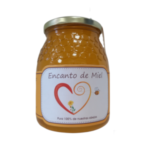 Miel Encanto de miel tarro 1kg